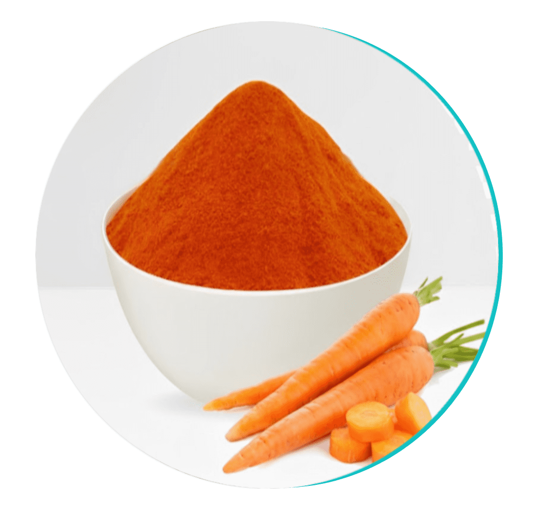 Carrot Powder